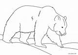 Bear Coloring Pages Grizzly Printable sketch template