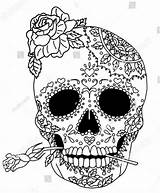 Skull Coloring Halloween Printable Dead Rose Entertainmentmesh Embroidered Mouth Holding sketch template