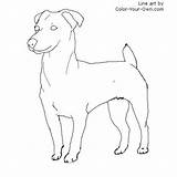 Jack Russell Terrier Coloring Pages Dog Drawing Standing Line Color Drawings Terriers Template Own Dogs Russells Choose Board Pencil Stand sketch template