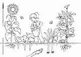 Ausmalen Gartenarbeit Gemüse Pflanzen Spielen Malvorlagen Gemuse Garden Wimmelbilder Fairy Oberbegriffe Projekte Sachkunde Besten Schulsachen Lied Wimmelbild sketch template