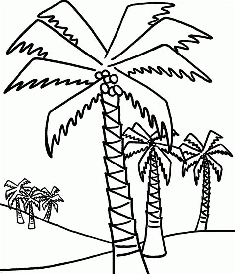 palm tree coloring pages  adults images rap francais  telecharger