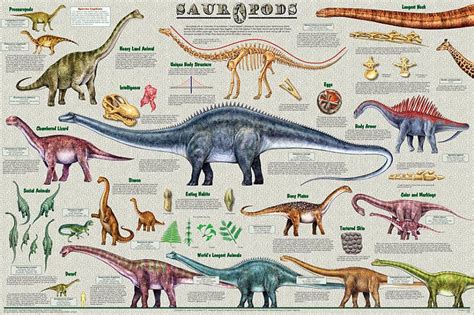 sauropods poster