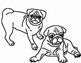 Pug Coloring Pages Printable Two Pugs Adult Puppy Clipart Print Dog Beautiful Drawing Cartoon Colouring Pig Color Kids Draw Getcolorings sketch template