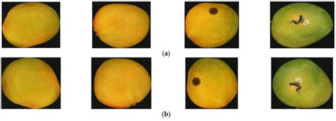 foods  full text computer vision system  mango fruit defect detection  deep