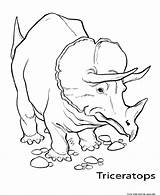 Coloring Pages Triceratops Printable Dinosaur sketch template