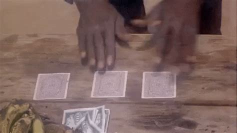 playing cards gifs find share  giphy