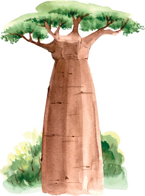 baoba africano na natureza ilustracao de close  em aquarela
