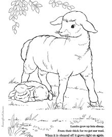 easter coloring page  lambs