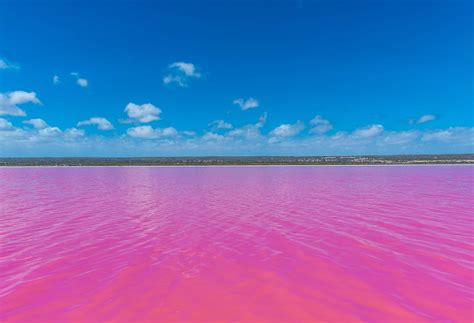 pink lakes  australia    visit  kayak