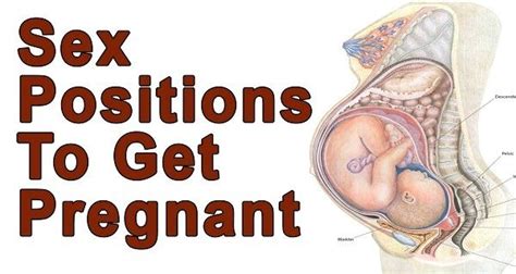 How To Get Pregnant Superfast Best Foods And Positions
