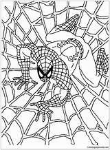 Pages Wonderful Spiderman Coloring Superhero sketch template
