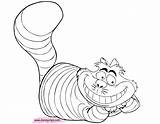 Coloring Cheshire Cat Pages Alice Wonderland Rabbit Color sketch template