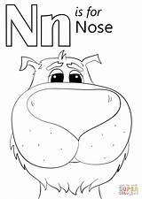 Nose Coloring Letter Pages Printable Supercoloring Nest Preschool Colouring Sheet Alphabet Template Sheets Super Start Worksheets Kids Drawing Getdrawings sketch template