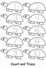 Number Preschool Worksheets Turtles Tracing Coloring sketch template