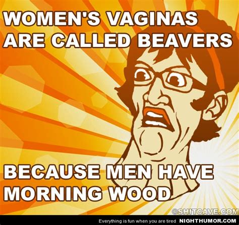 40 Best Humor Beaver Related Images On Pinterest Beavers Funny