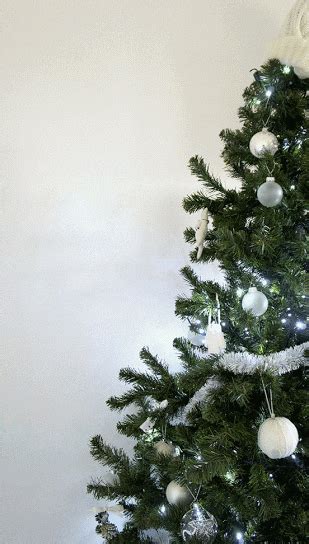 christmas tree s find and share on giphy
