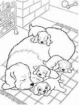 Durmiendo Perritos Dibujosonline Categorias Perrito sketch template