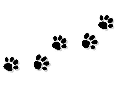 clipart dog print trail   cliparts  images