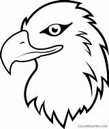 Eagle Coloring4free sketch template