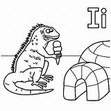 Igloo Coloring Iguana Pages Ice House Getcolorings Color Getdrawings Template sketch template
