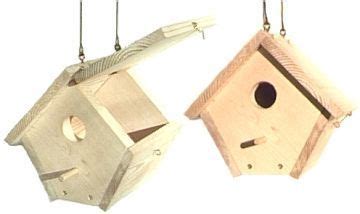 wren house plans wren bird house plans   hinged roof  home  garden birds