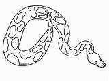 Python Snake sketch template