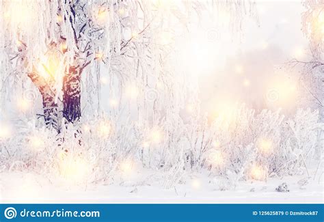 Magic Christmas Winter Background Shining Snowflakes And Winter Nature