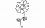 Dxf Daisy Flower  3axis Acad sketch template