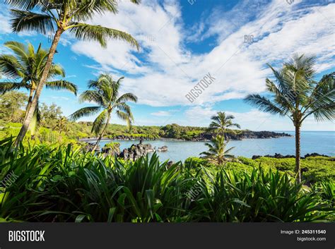 beautiful tropical image photo  trial bigstock