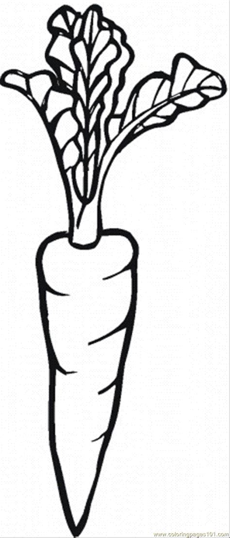 coloring pages carrot  natural world vegetables  printable