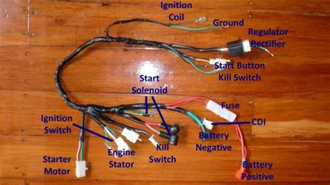 ebony wiring basic pit bike wiring diagram  jobs