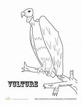 Joshua Tree National Park Coloring Designlooter 453px 96kb Vulture sketch template