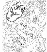 Sloth Coloring Pages Animals Habitat sketch template