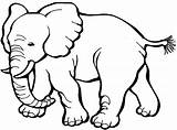 Zoo Coloring Pages Animals Animal Kids Clipart sketch template