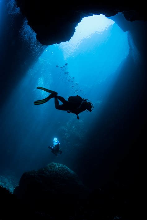 malta    voted    diving