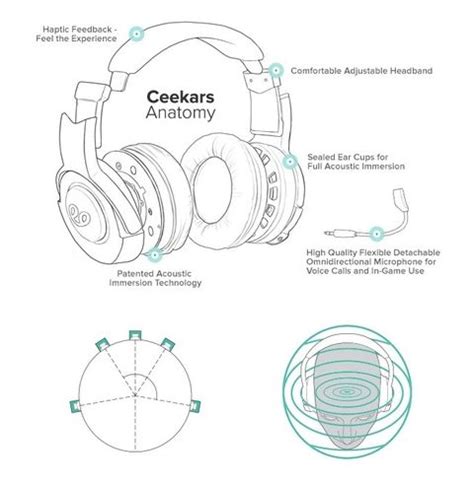 headphone anatomy anatomy drawing diagram