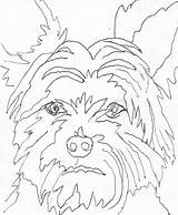 Coloring Yorkie Pages Puppy Printable Color Getcolorings Print Getdrawings Line Drawing sketch template