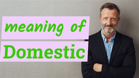 domestic meaning  domestic youtube