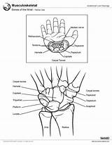  sketch template