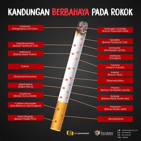 infografis kandungan bahaya  rokok tokopresentasicom