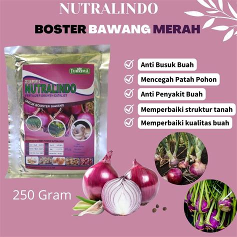 Jual Pupuk Bawang Merah Umur 10 Hari Pupuk Bawang Merah Umur 30 Hari