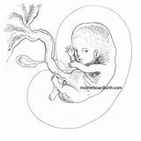Coloring Pregnancy Books Week sketch template