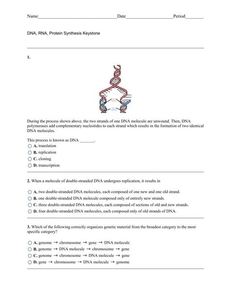 rna  gene expression worksheet answers db excelcom
