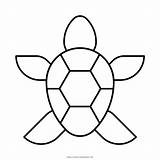Kura Turtle Tartaruga Desenho Sketsa Tortuga Colorear Putih Hitam Pngwing Xcolorings W7 Ultracoloringpages sketch template