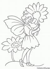 Fata Fiori Fairies Fada Hadas Hada Fate Elves Colorkid Elfi Blumen Feen Elfen Duendes Prato Fadas Animato Fiore sketch template