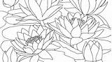 Monet Coloring Pages Claude Water Lilies Printable Drawing Color Getdrawings Evening Getcolorings Print Template sketch template