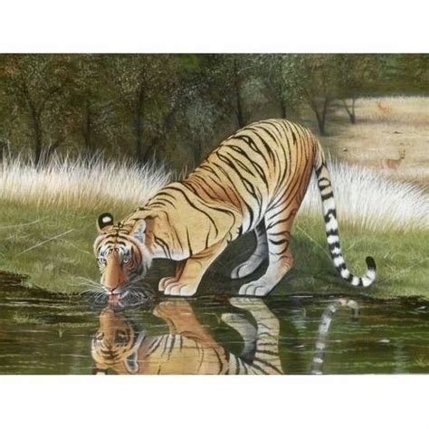 tiger watercolor painting  rs  wild life tiger painting