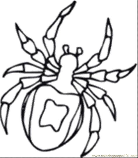 printable insect colouring pages clip art library