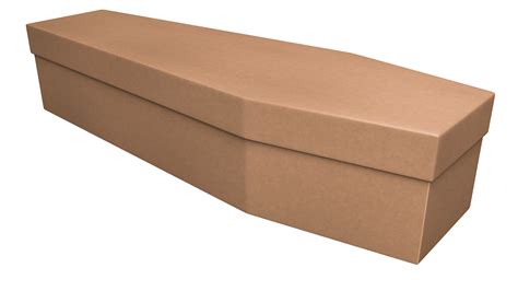 cardboard caskets complete guide including cost