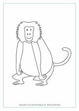 Colouring Baboon Baboons Pages African Animal Animals Activityvillage Village Activity Explore sketch template